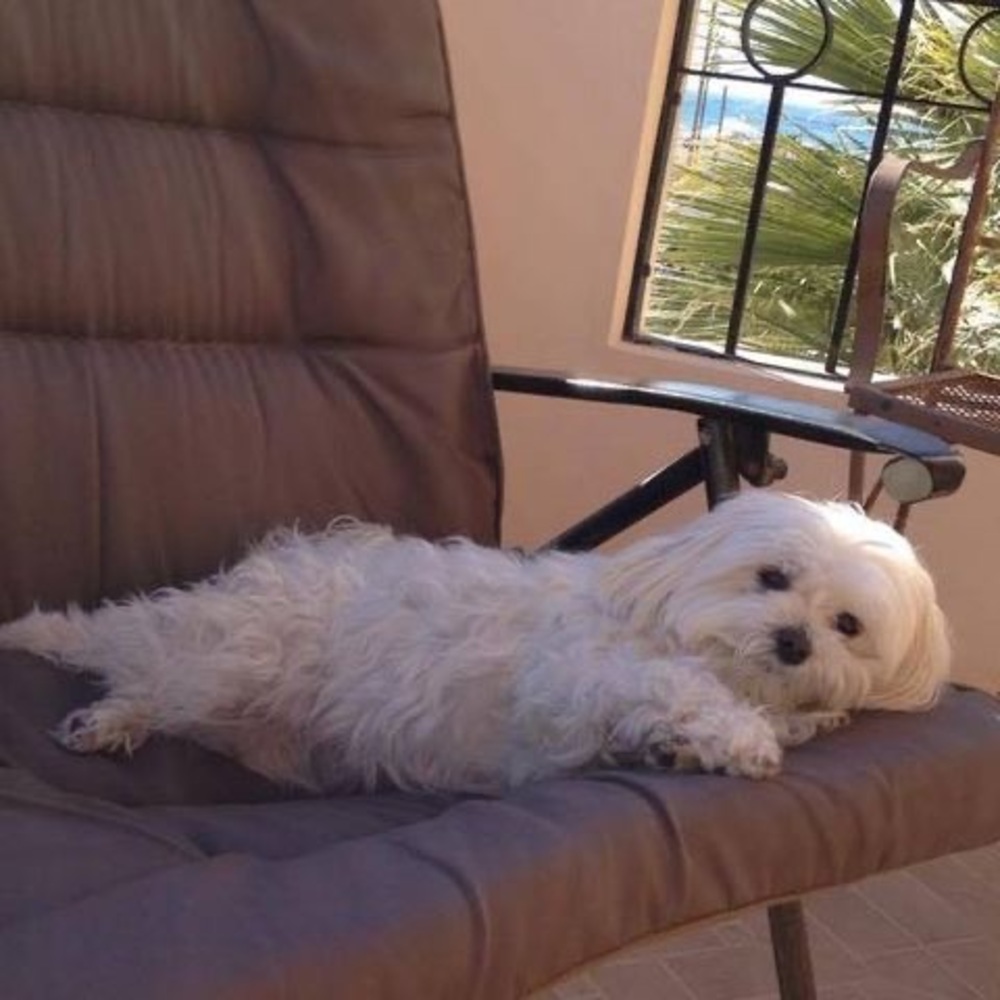 Meet your Posher, Bonnie & Cindy